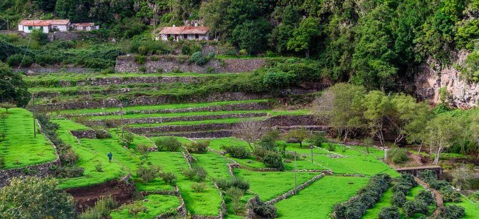 El Cedro caseríos de La Gomera
