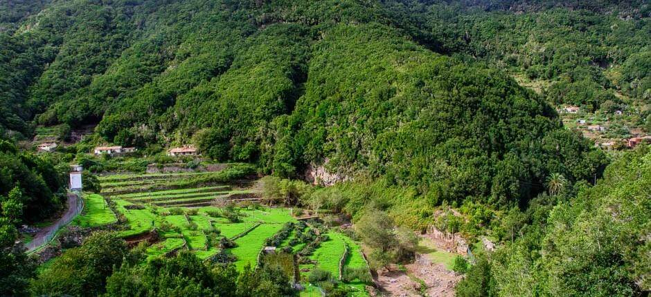 El Cedro caseríos de La Gomera