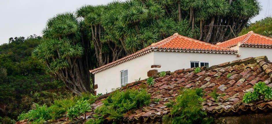La Tosca caseríos de La Palma