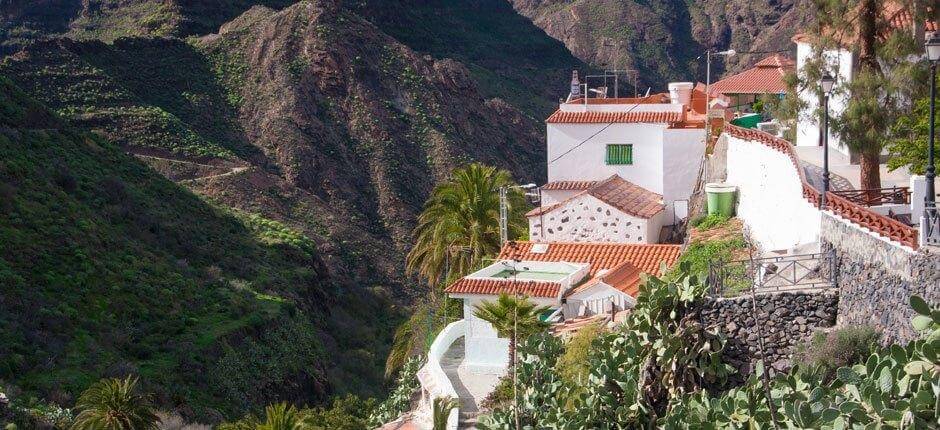 El Carrizal de Tejeda – Gran Canaria – Caseríos