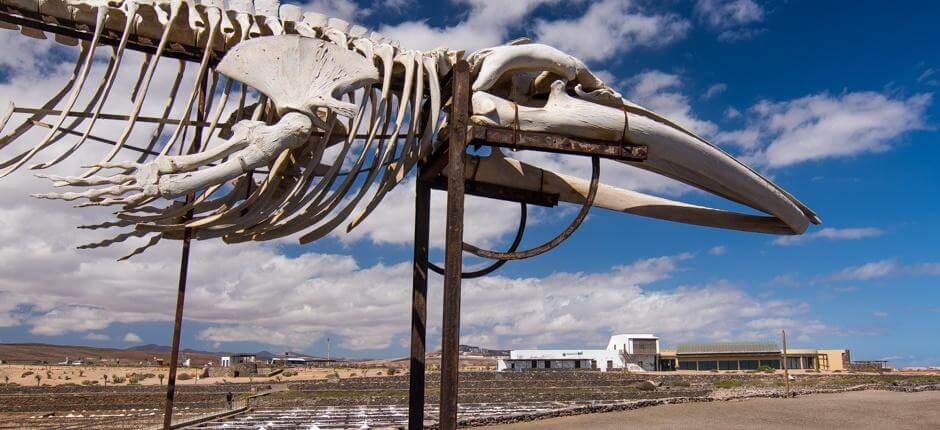 Museo de la Sal Museos de Fuerteventura