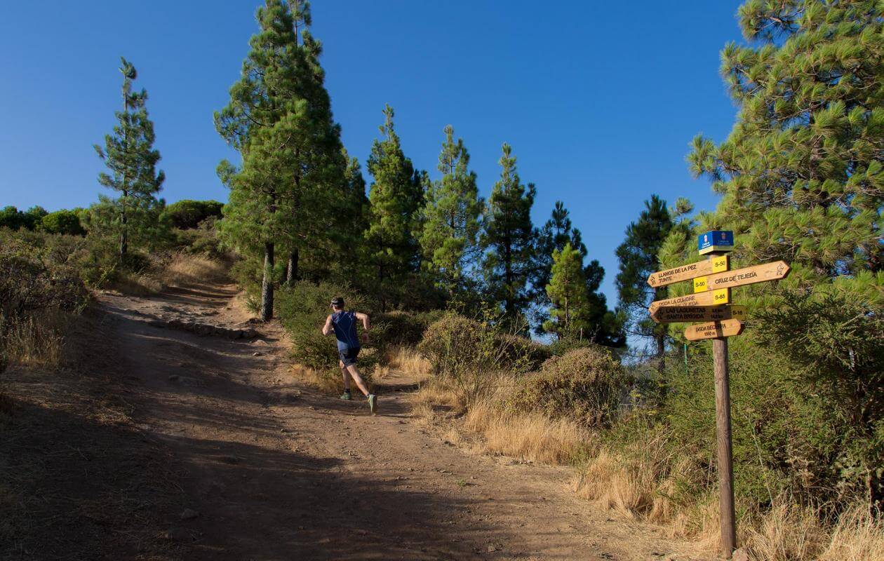Fontanales - Garañón-Trail
