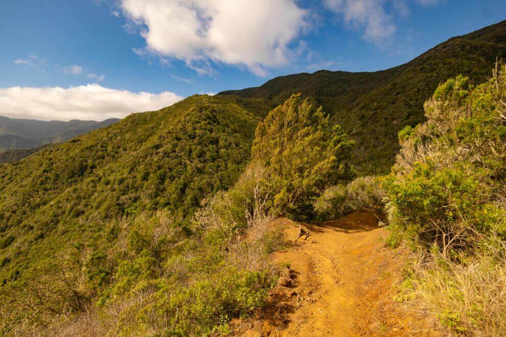 Vallehermoso sendero circular
