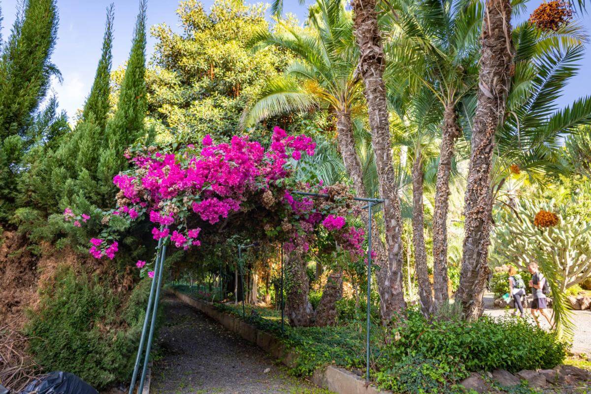 Jardín de la Marquesa de Arucas