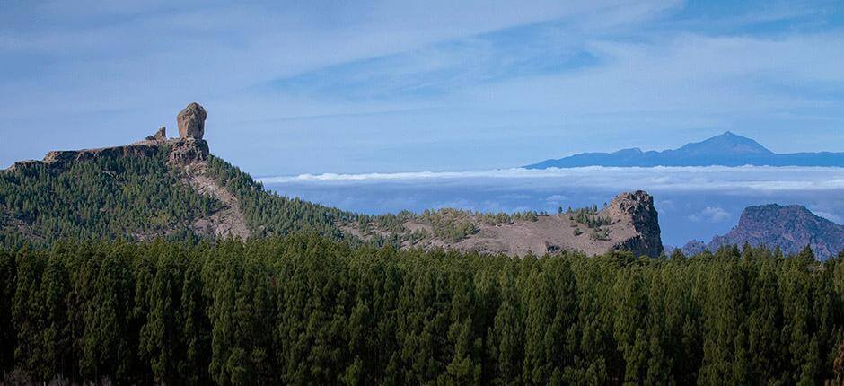 Llanos de la Pez. Orientación de Gran Canaria