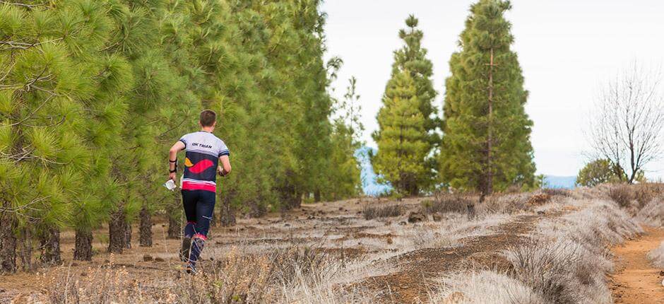 Llanos de la Pez. Orientación de Gran Canaria