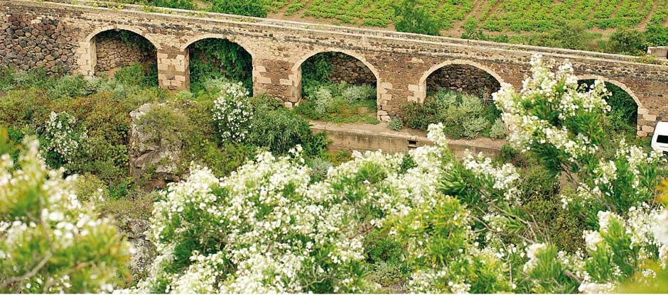 Jardín Botánico Viera y Clavijo Museos y centros turísticos de Gran Canaria