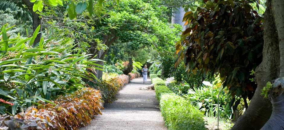 Jardín de Aclimatación de La Orotava Museos y centros turísticos de Tenerife