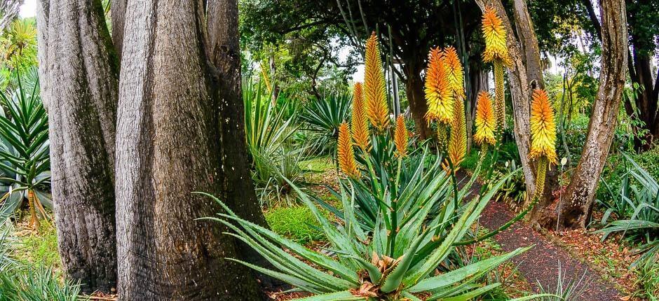 Jardín de Aclimatación de La Orotava Museos y centros turísticos de Tenerife