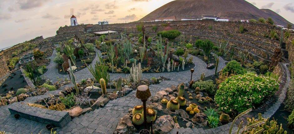 Jardín de Cactus Museos y centros turísticos de Lanzarote