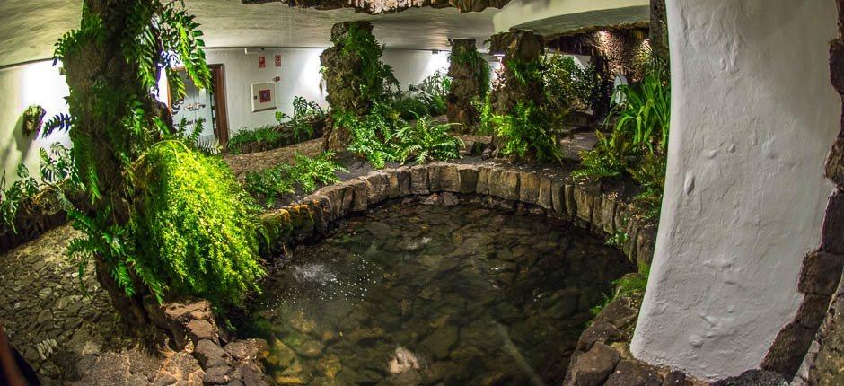 Jameos del Agua Museos y centros turísticos de Lanzarote