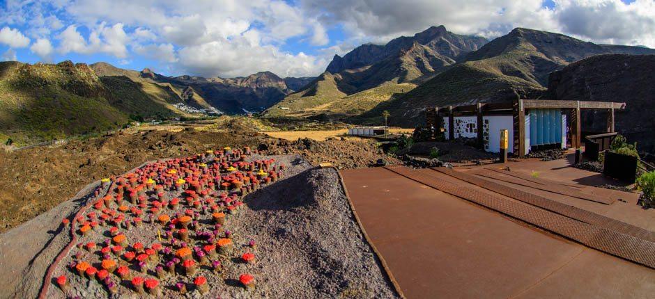 Maipés de Agaete Museos y centros turísticos en Gran Canaria