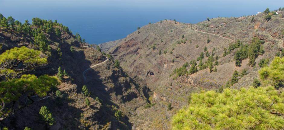 Mirador de Izcagua en La Palma