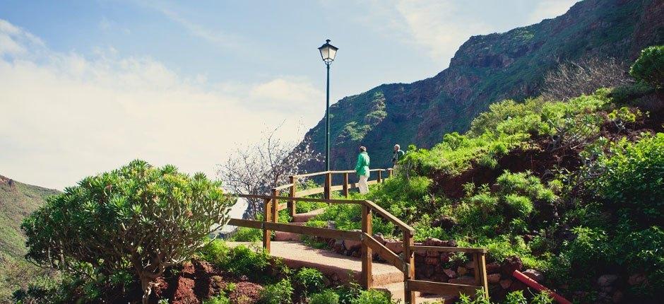 Monumento Natural del Barranco de Guayadeque, en Gran Canaria
