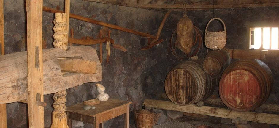 Museo del Vino de La Palma. Bodegas de La Palma