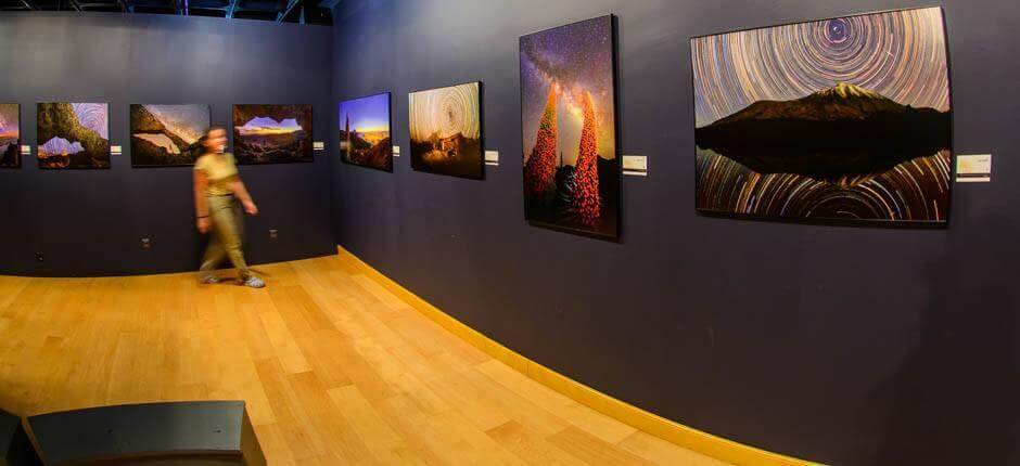 Museo Elder Museos de Gran Canaria 