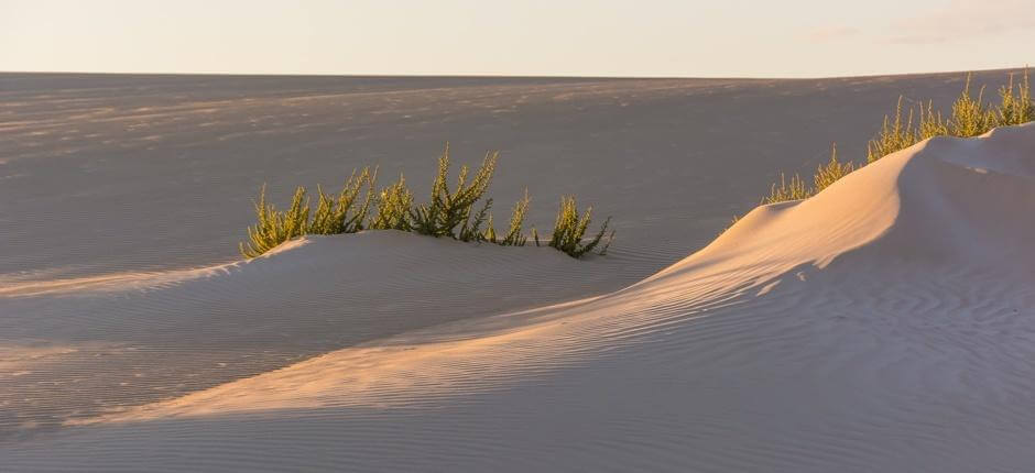 Parque Natural de Corralejo, en Fuerteventura