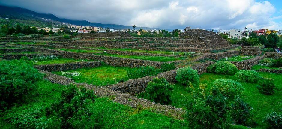 Pirámides de Güímar Museos y centros turísticos de Tenerife