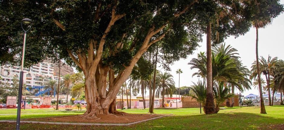 Puerto Rico Destinos turísticos de Gran Canaria