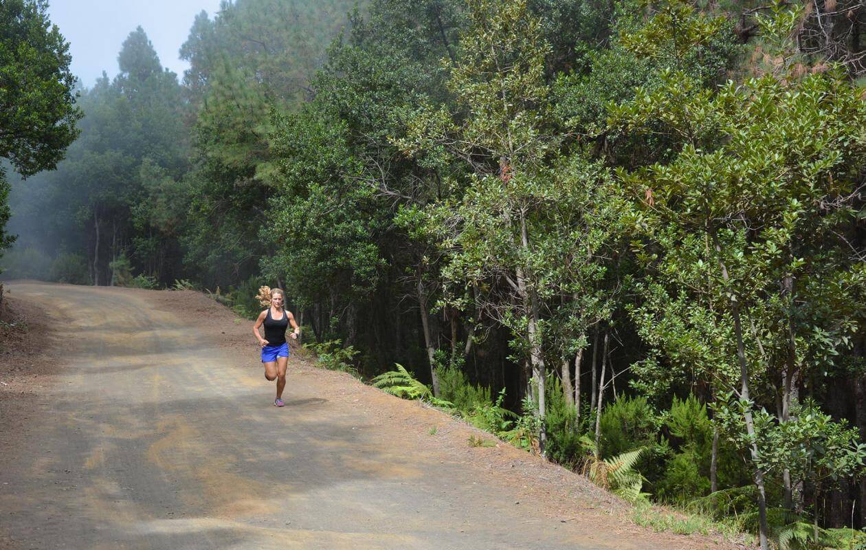 Roque de los Muchachos-Trail