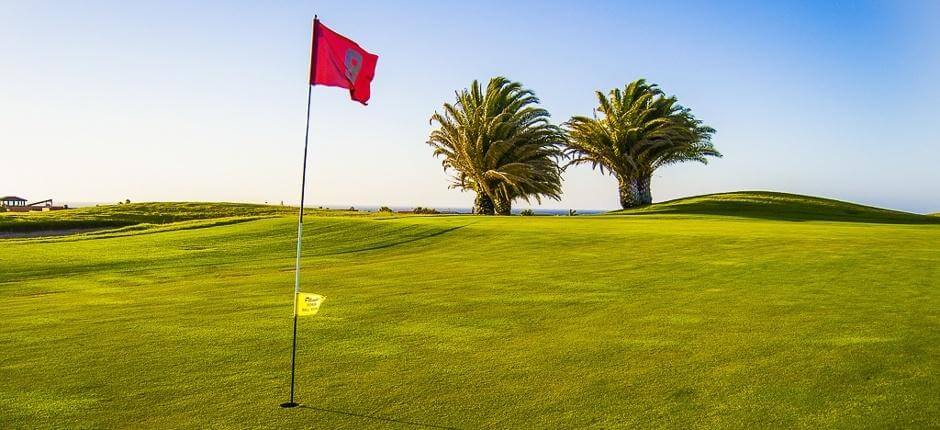 Golf Club Salinas de Antigua Campos de golf de Fuerteventura