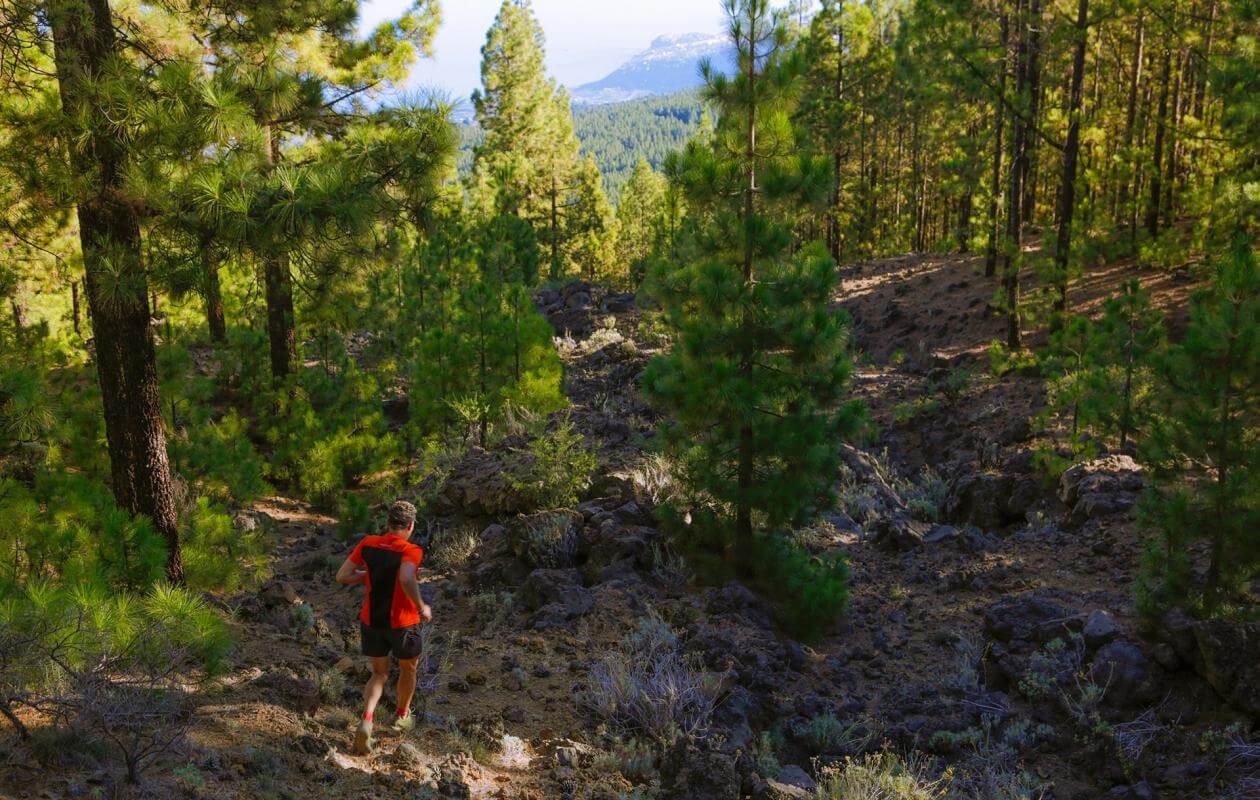 Teide - Puerto de la Cruz-Trail