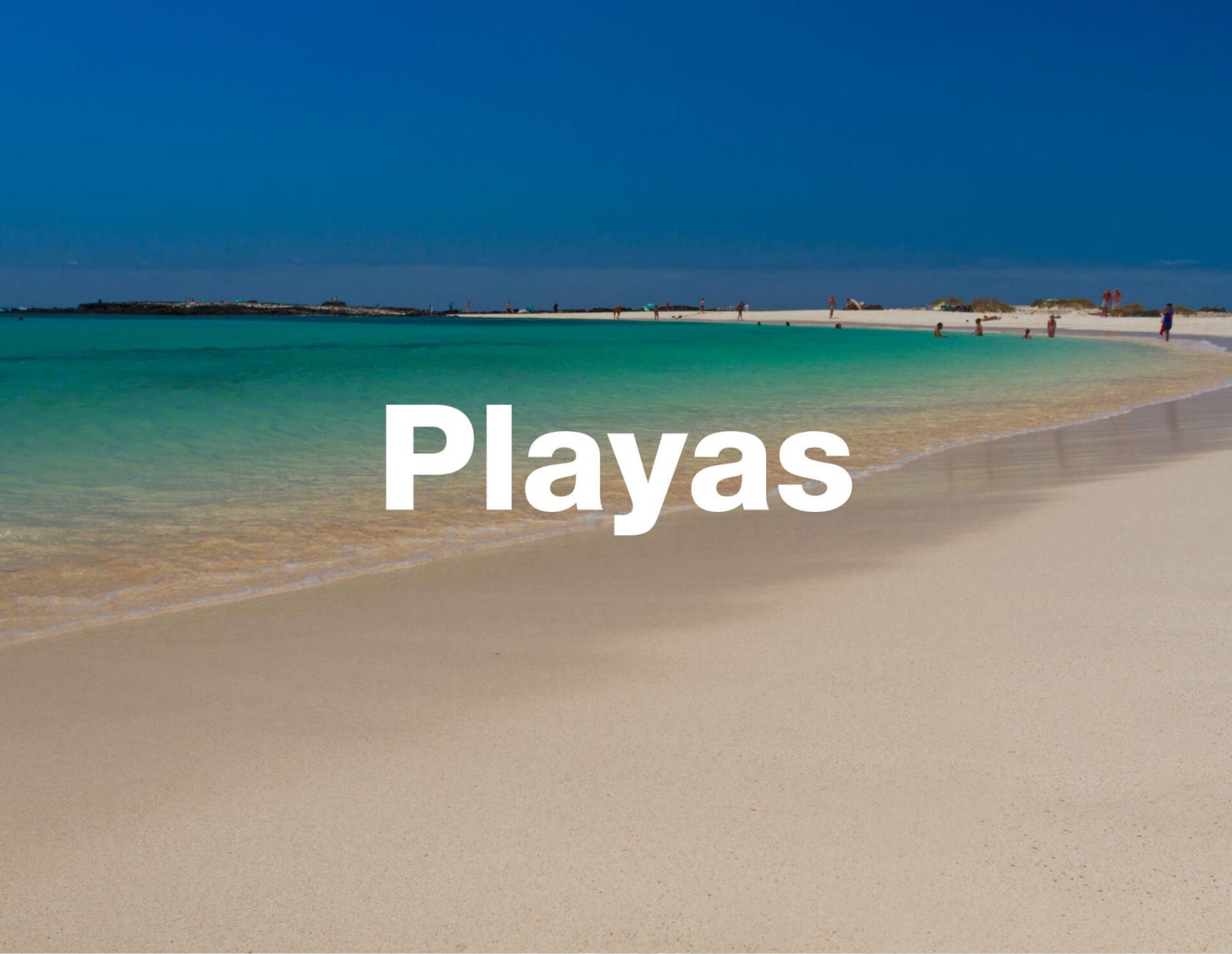 playas-amnesia-estival-desktop