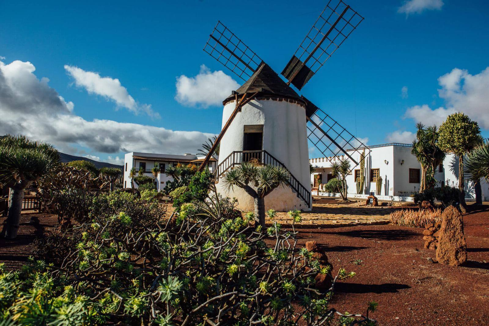 museo queso slv