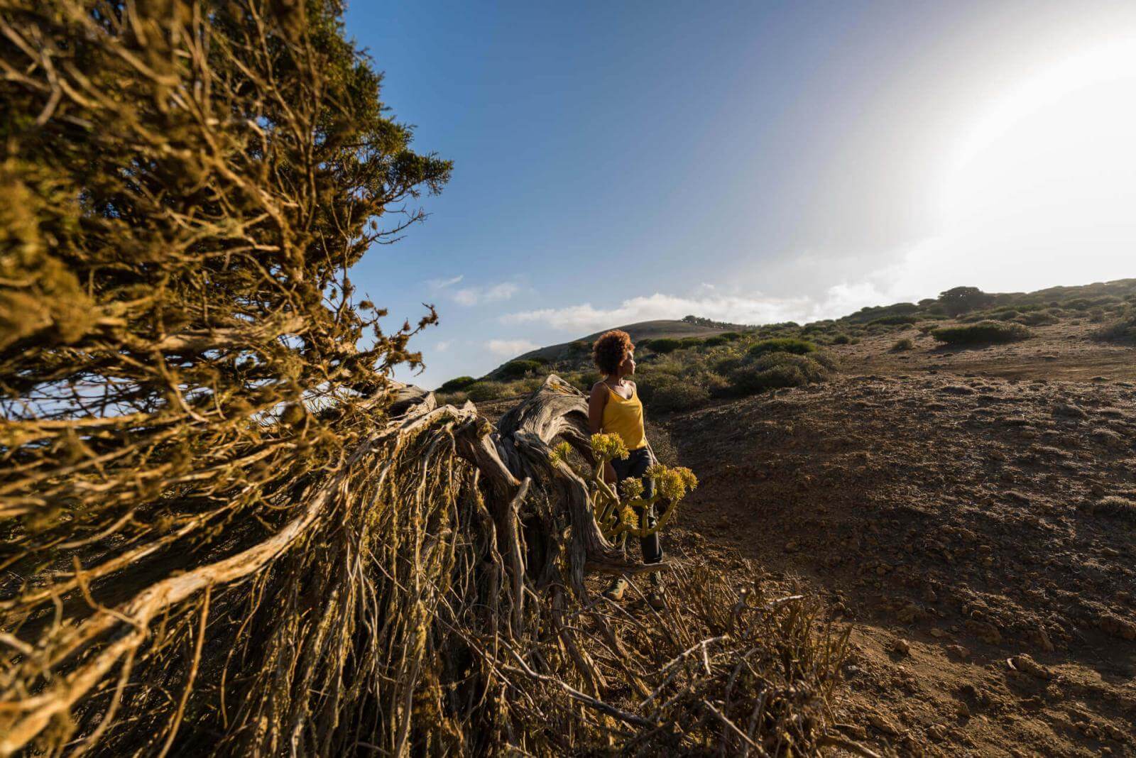 Parque Rural de Frontera, El Hierro