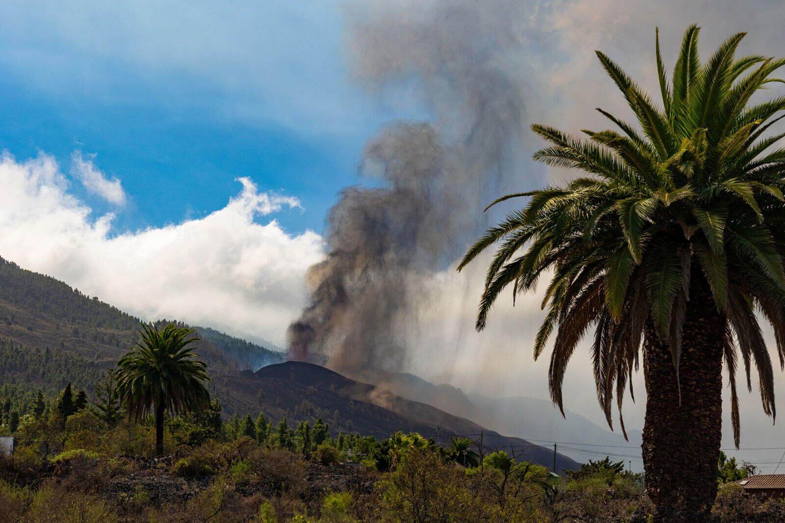 Erupción volcánica Cumbre Vieja. La Palma.