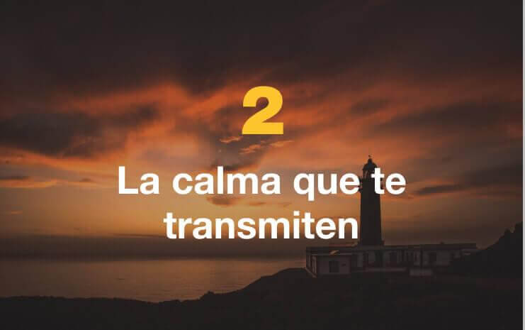 La calma que te transmiten.