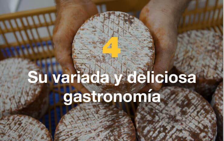 Su variada y deliciosa gastronomía.