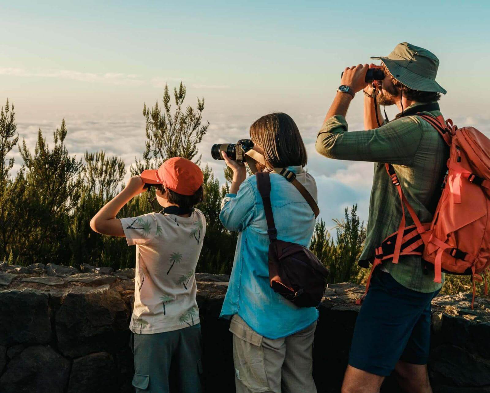 Grupo observando aves con prismáticos y cámara desde mirador rodeado de pinos canarios y mar de nubes.