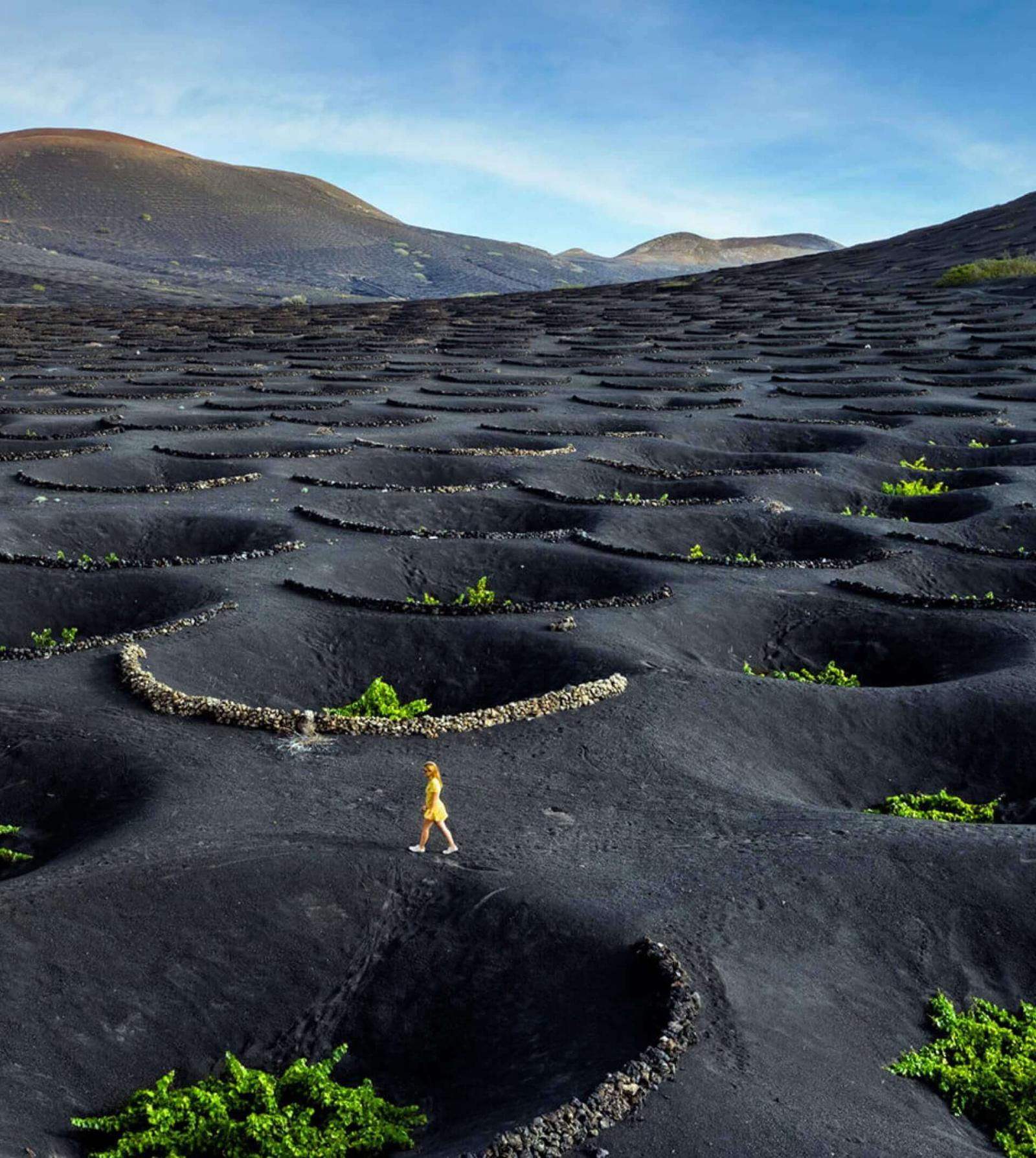 Viñedo en paisaje volcánico con hoyos circulares y cepas de vid; persona con vestido amarillo caminando.