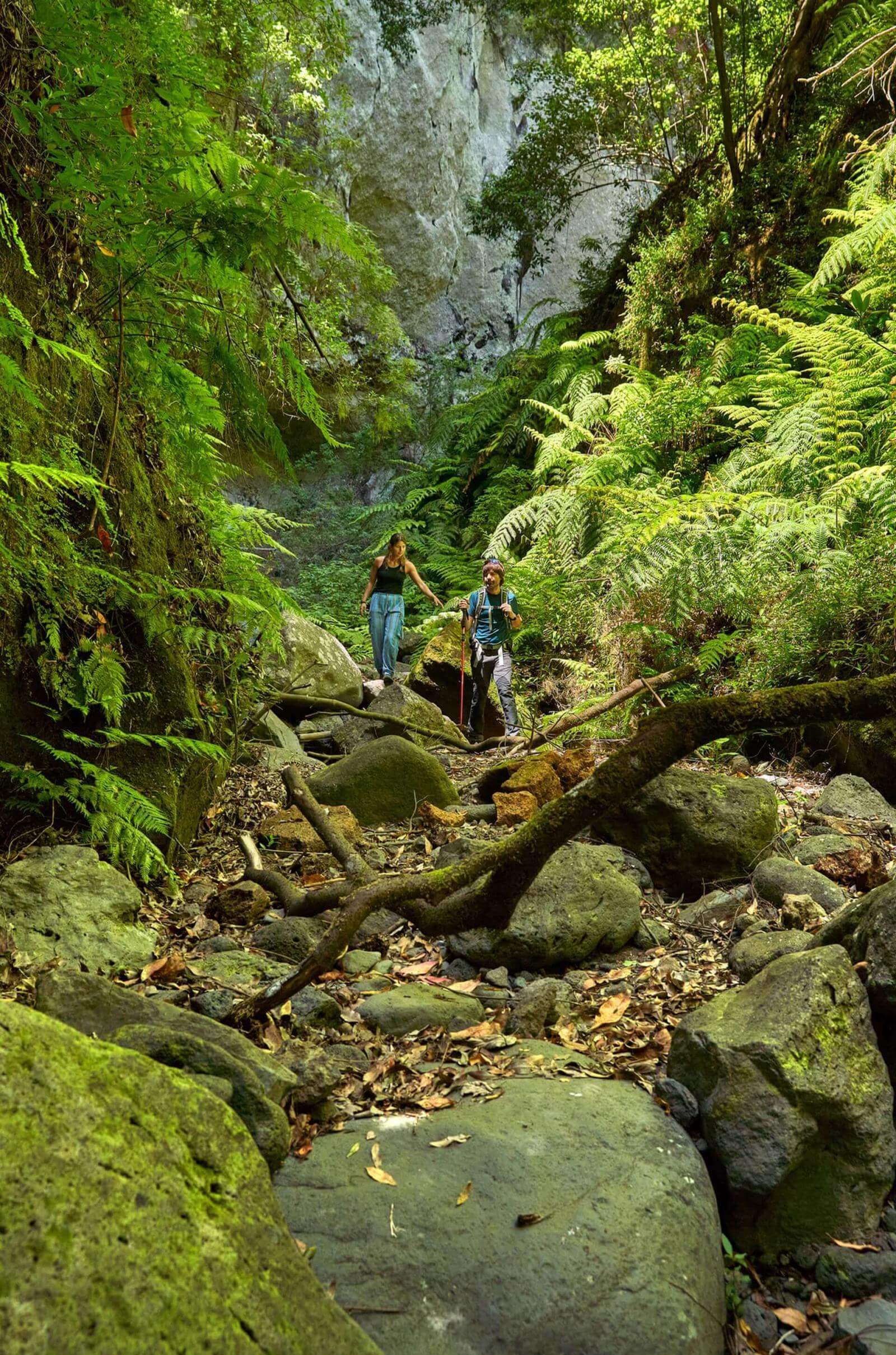 Dos personas avanzan entre rocas y helechos en el Bosque de Los Tilos, rodeadas de laurisilva.