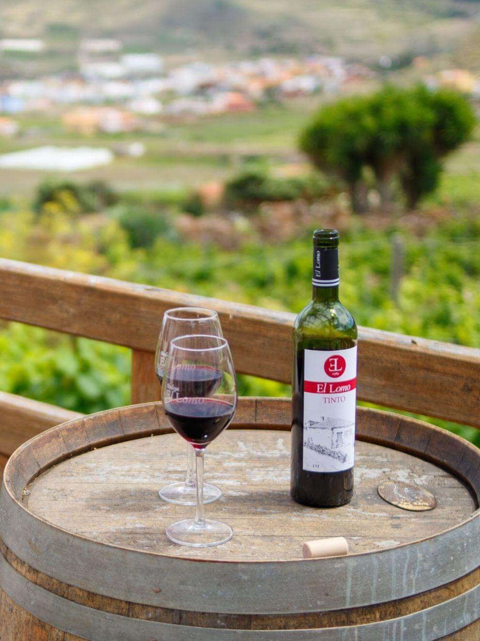 Gastronomía Tenerife