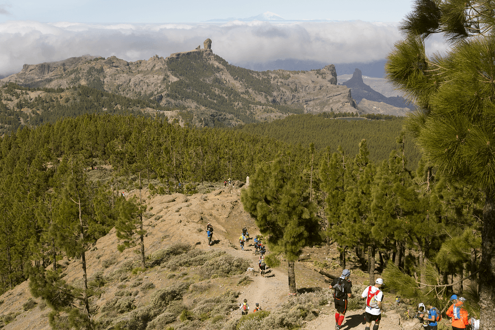 Transgrancanaria 12