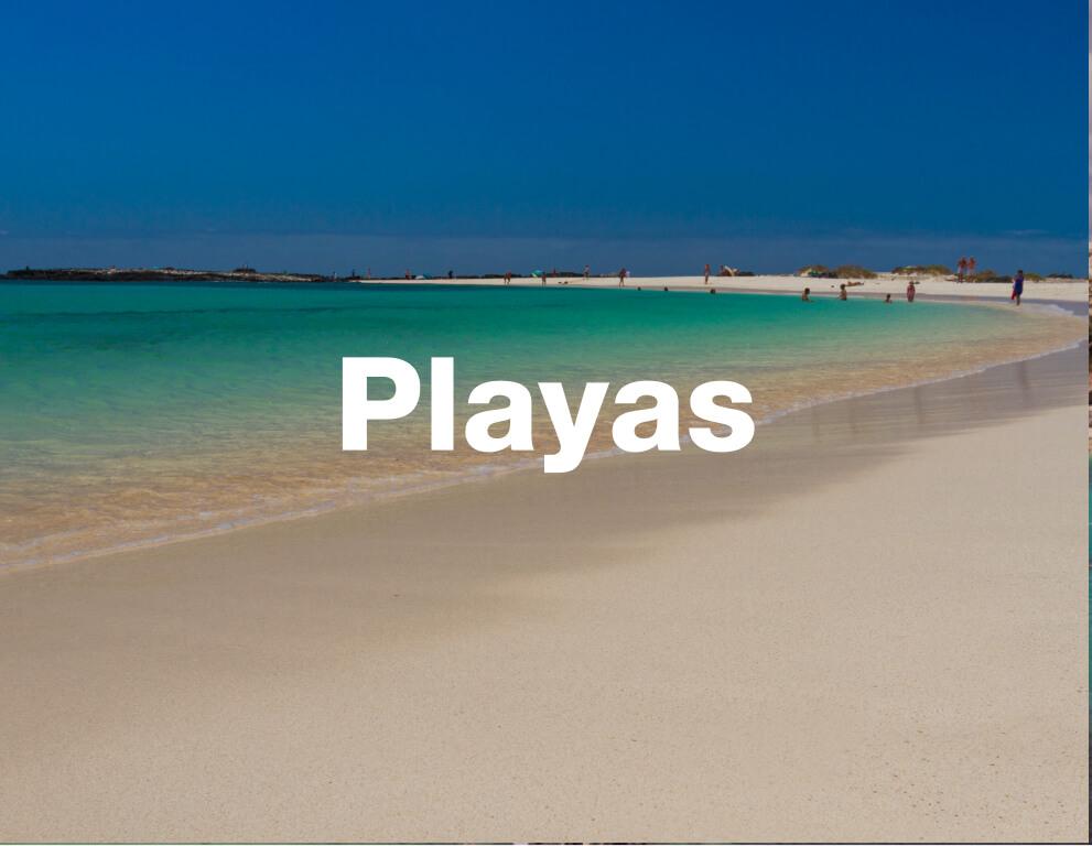 playas-amnesia-estival-mobile