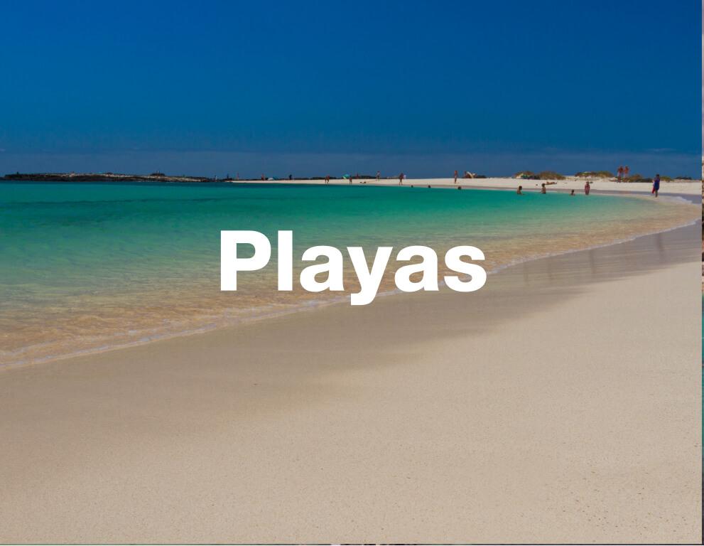 playas-amnesia-estival-mobile