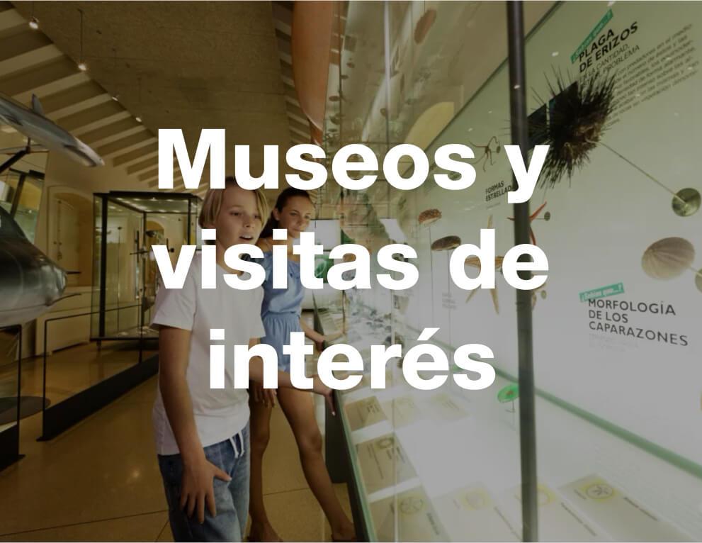 museos-amnesia-estival