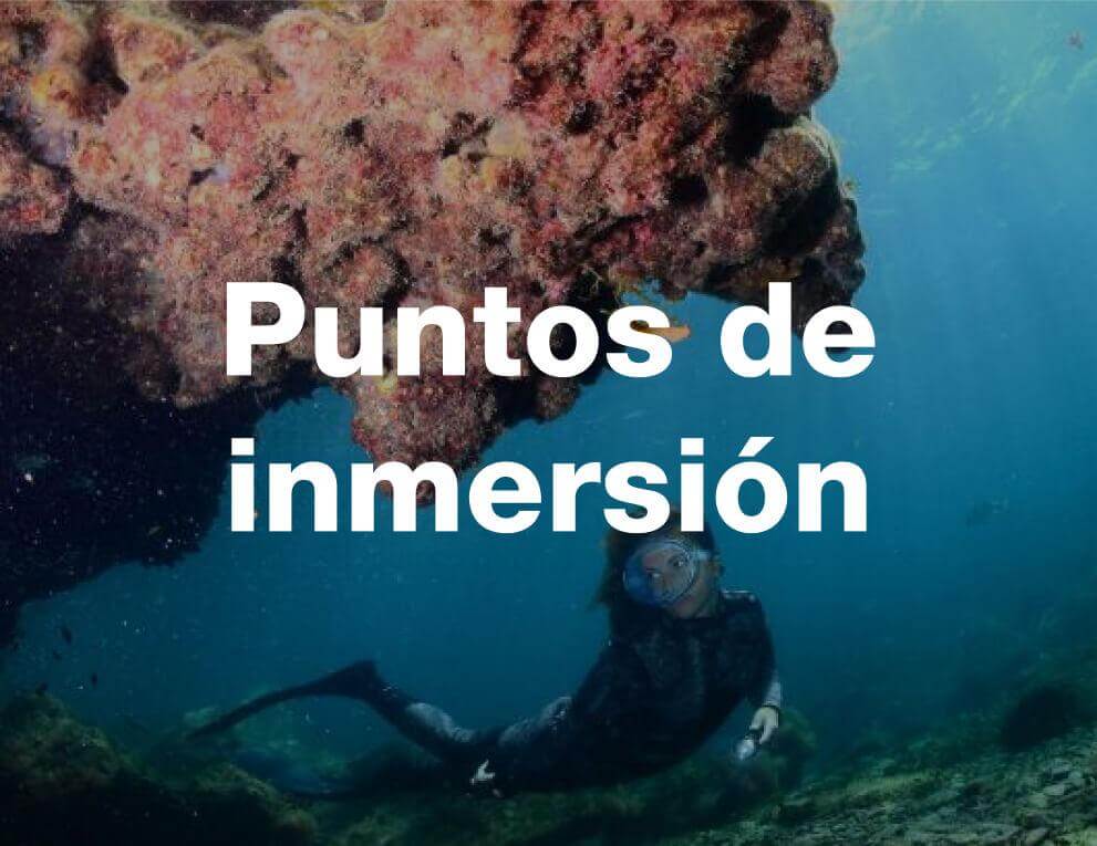 puntos-inmersión-amnesia-estival