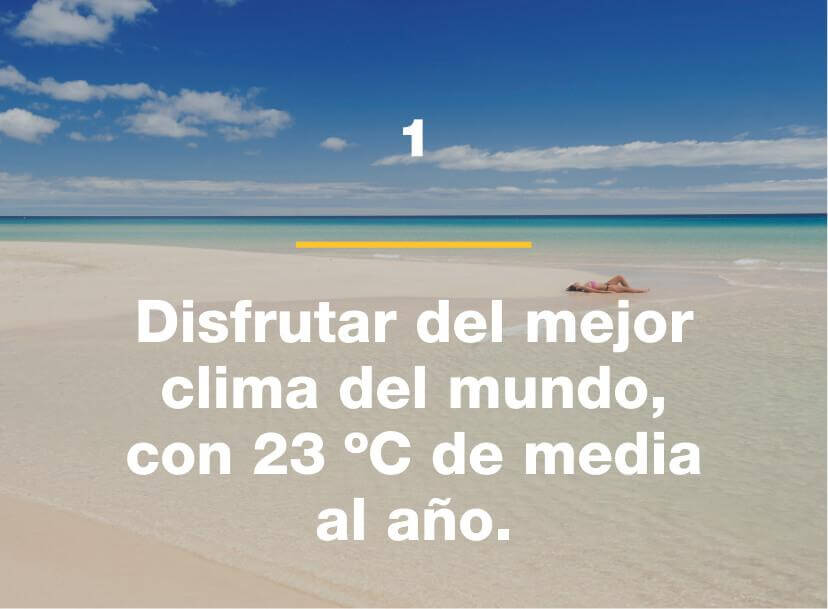 Silver-Motivo-1
