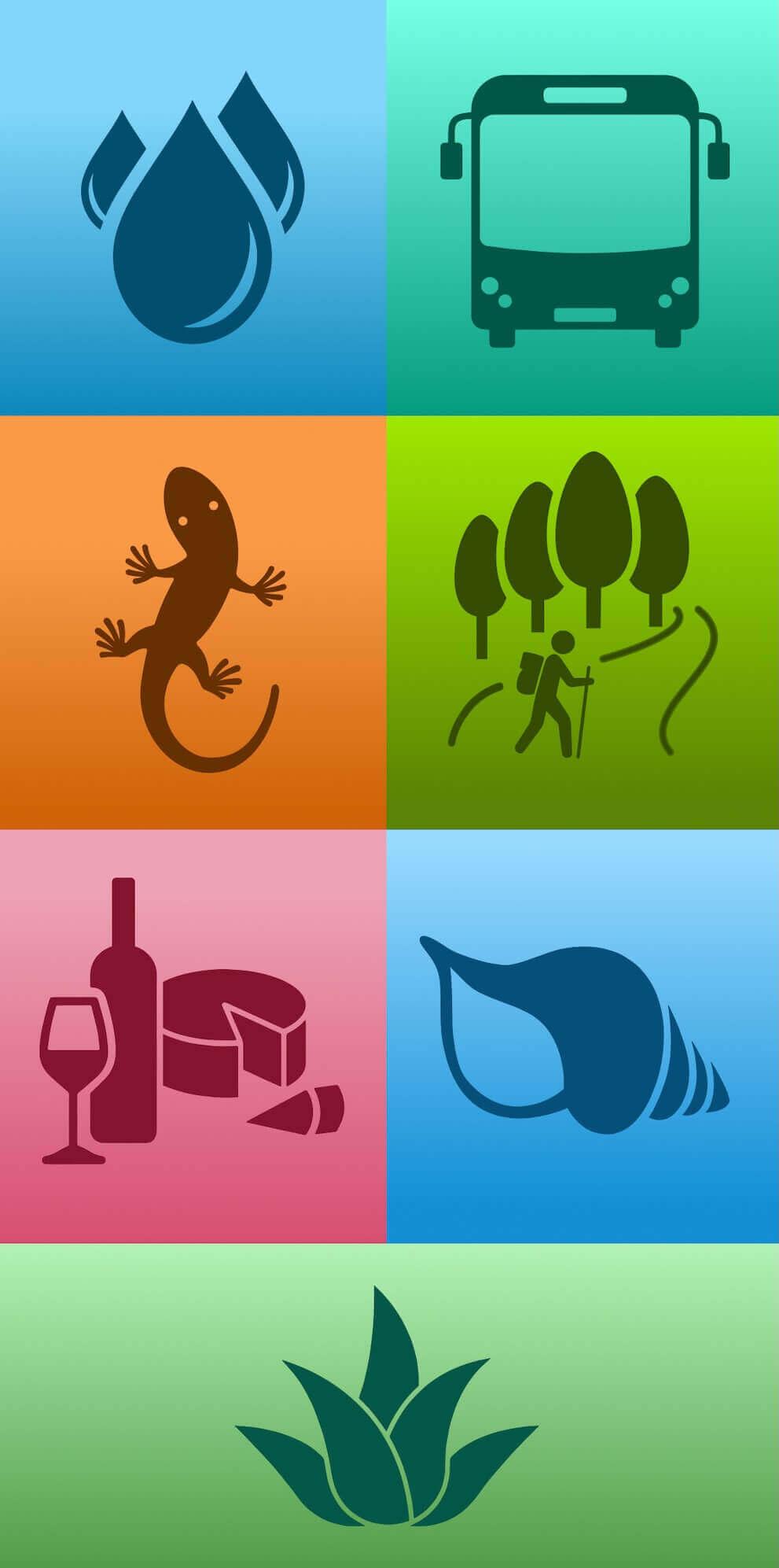 Iconos turista responsable