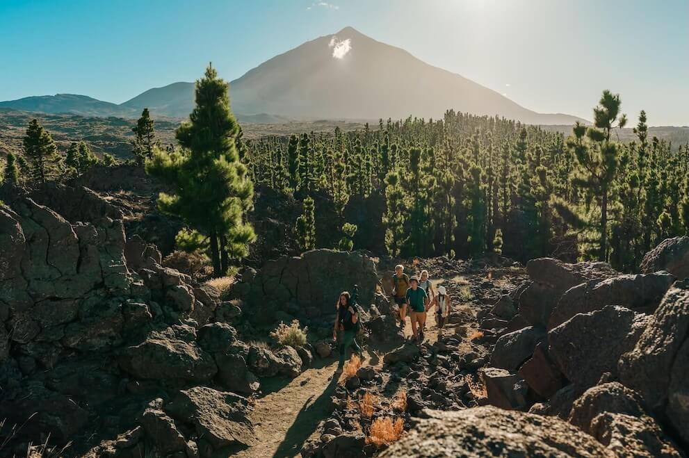 Grupo haciendo senderismo entre rocas volcánicas y pinos canarios con el Teide al fondo en Tenerife.