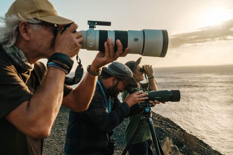 Observación de aves frente al océano al atardecer usando prismáticos  y cámaras con teleobjetivos.