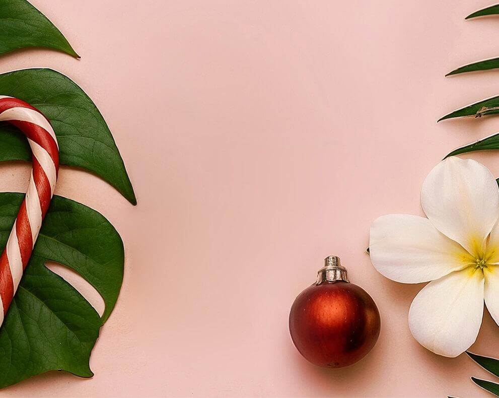 Fondo rosado con hoja verde, flor y adornos navideños.