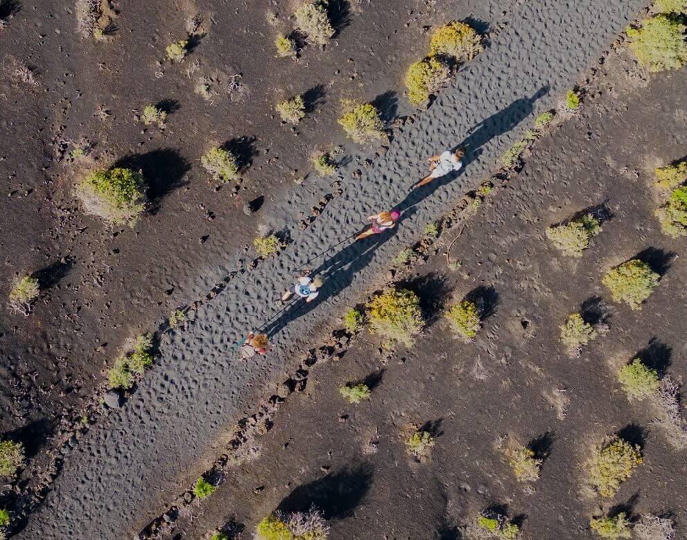 Vista aérea de un sendero que atraviesa un paisaje volcánico con vegetación dispersa.