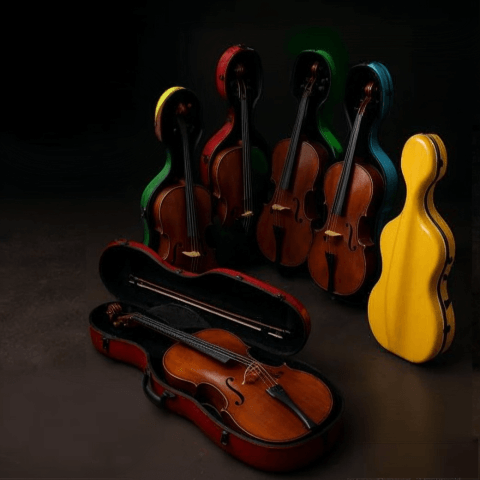 ensemble_violonchelos