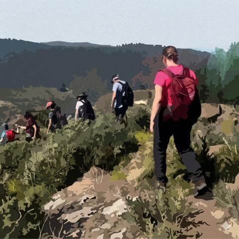 juncalillo_ruta
