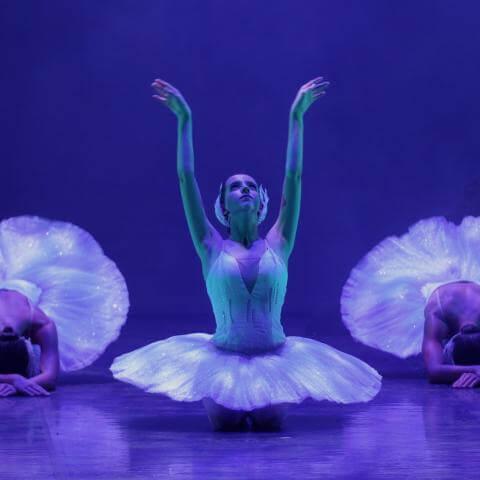 lago_de_los_cisnes_2025_13_10